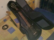 Schecter 006 Deluxe SBK чехол Roland Micro CUBE (Black)